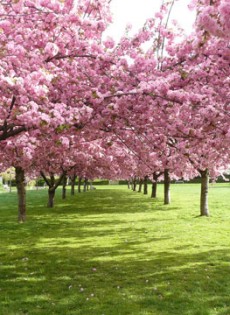 Spring Events & Readings