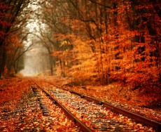 Autumn Events & Readings