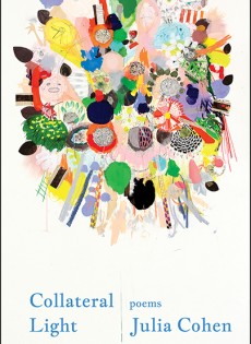 Collateral Light by Julia Cohen