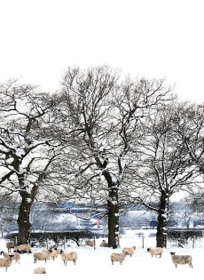 Winter Events & Readings