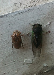 Spring Events & Readings