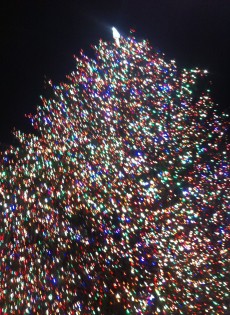 Winter Events & Readings