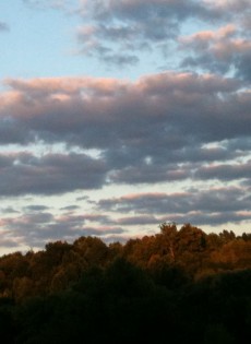 Spring Readings and Events