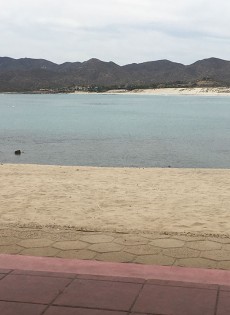 Spring Readings & Events