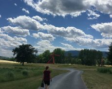 Summer Readings & Events