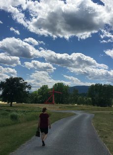 Summer Readings & Events