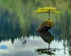 Spring 2017 Readings & Events