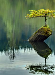 Spring 2017 Readings & Events