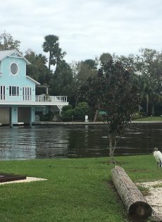 Fall 2017 Readings & Events